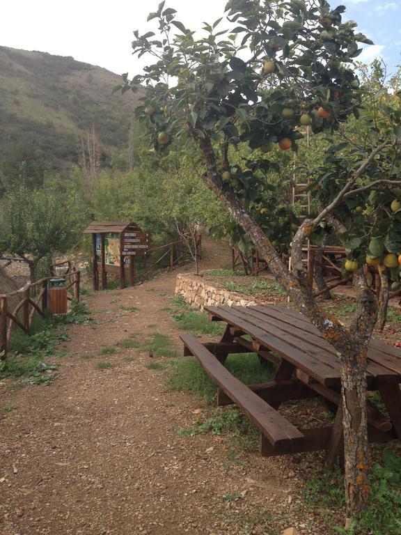 Farm stay Agriturismo Gelso