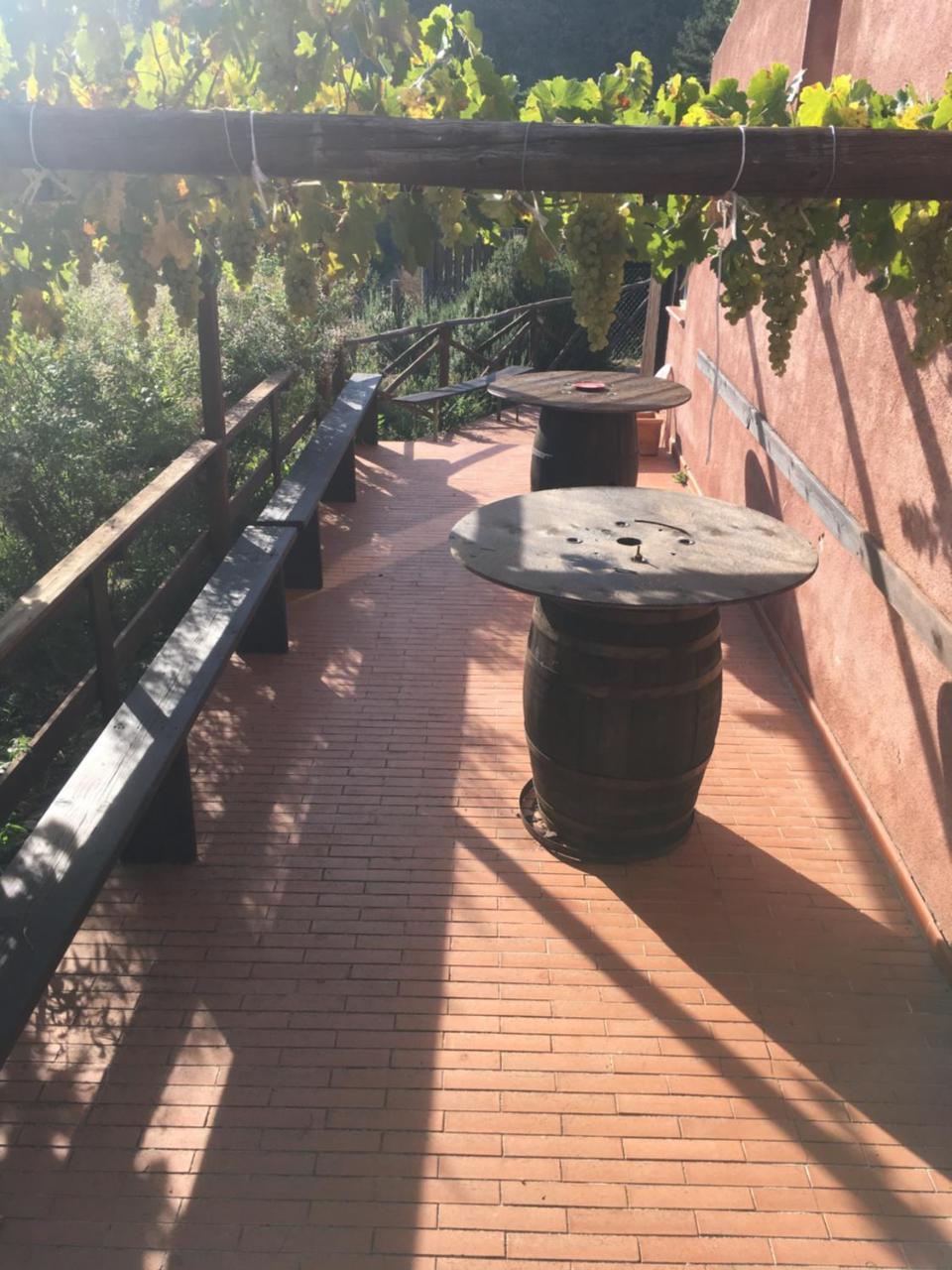 Agriturismo Gelso *
