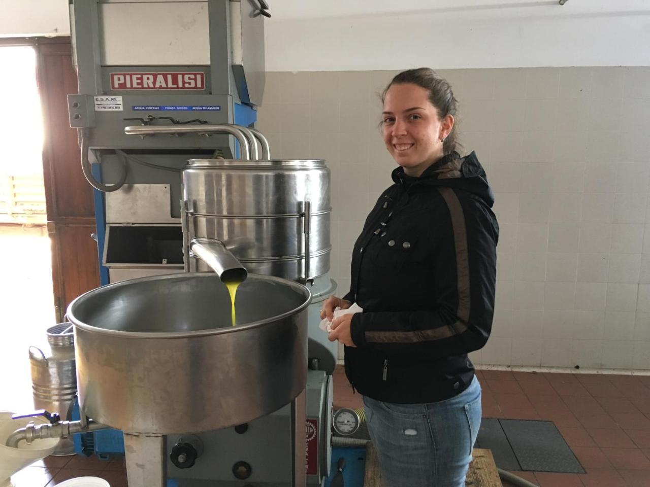 Agriturismo Gelso *