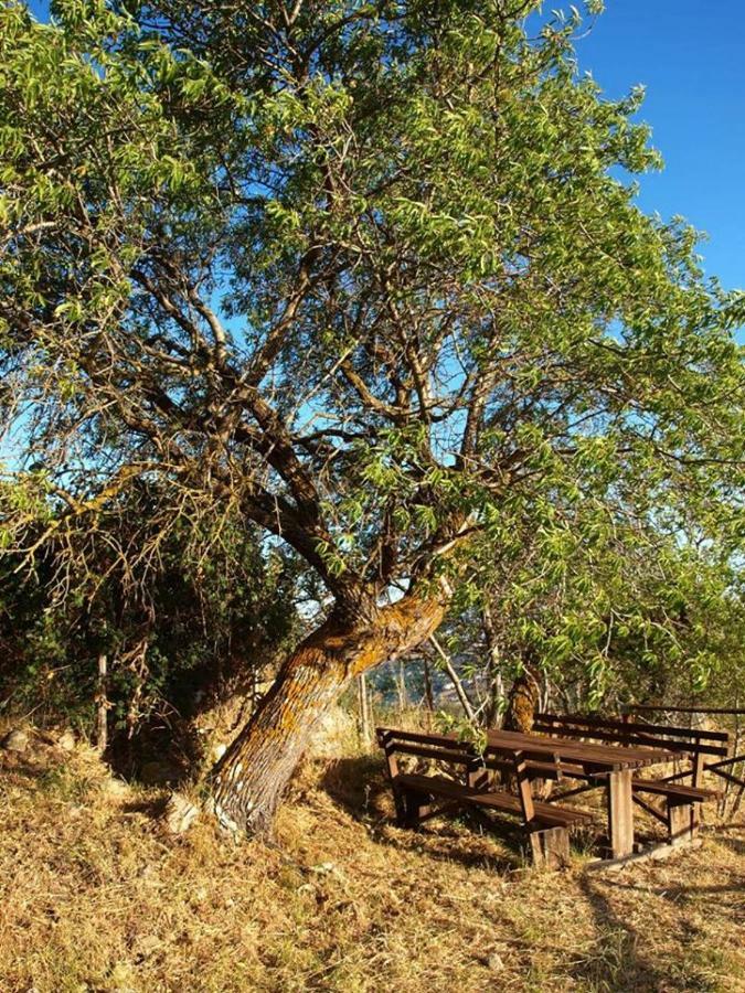 Agriturismo Gelso Farm stay *
